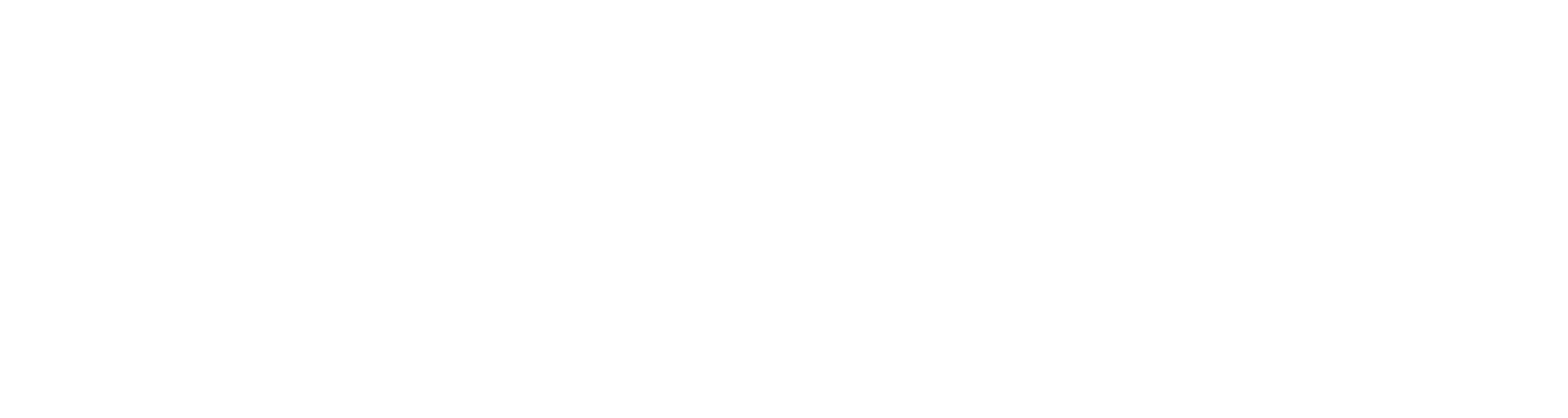 R+F FilterElements